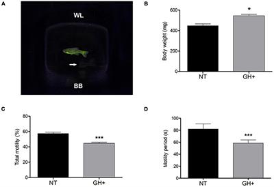 GH Overexpression Alters Spermatic Cells MicroRNAome Profile in Transgenic Zebrafish